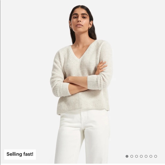 Everlane Sweaters - Everlane Alpaca V Neck Sweater